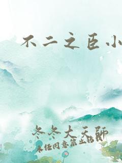 不二之臣小说