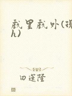 戏里戏外(现场h)