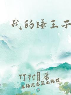 我的睡王子殿下