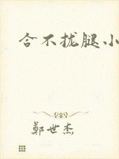 合不拢腿小说
