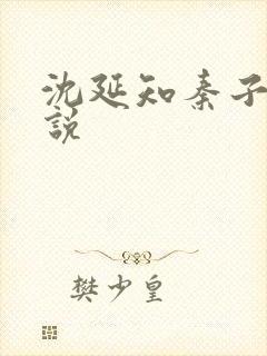 沈延知秦子卿小说