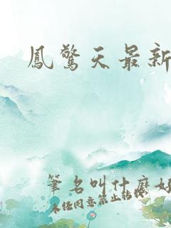 凤惊天最新章节