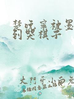 楚晚宁被墨燃做到哭棋子