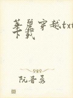 华丽穿越txt下载