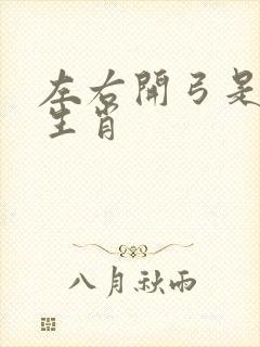 左右开弓是什么生肖