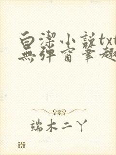 白洁小说txt无弹窗笔趣阁