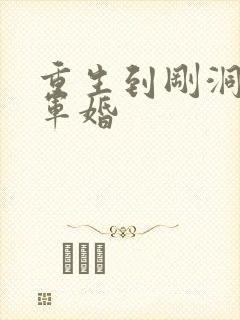 重生到刚洞房的军婚