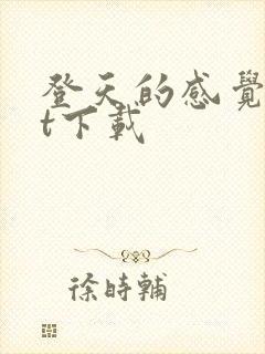 登天的感觉txt下载