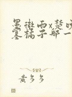 墨微雨x楚晚宁塞橘子哪一章