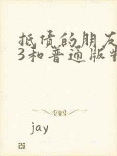 抵债的朋友麦子3和普通版对比