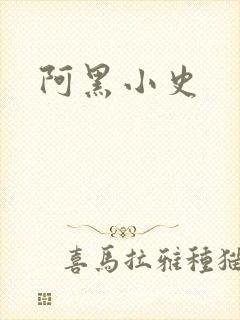 阿黑小史