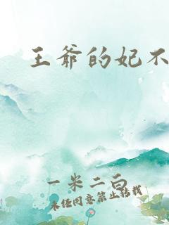 王爷的妃不是妃
