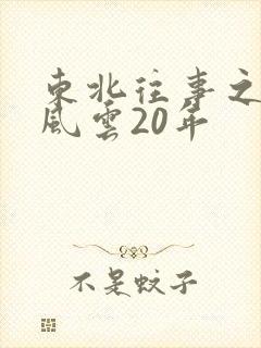 东北往事之黑道风云20年