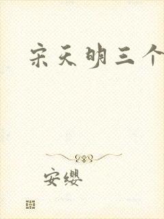 宋天明三个婆娘