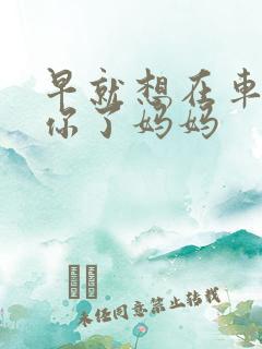 早就想在车里要你了妈妈