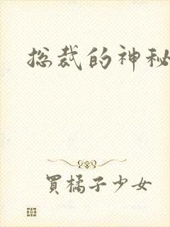 总裁的神秘情人