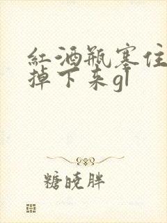 红酒瓶塞住不准掉下来gl