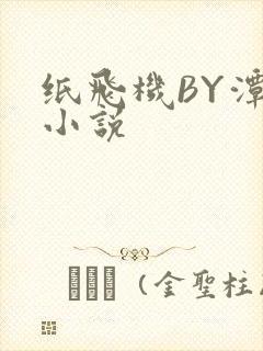 纸飞机BY潭石小说