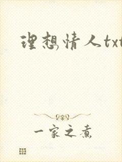 理想情人txt