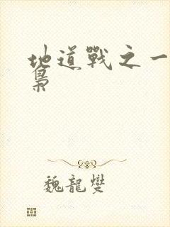 地道战之一代功枭