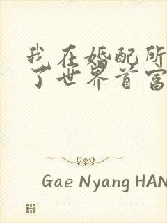 我在婚配所摇到了世界首富小说