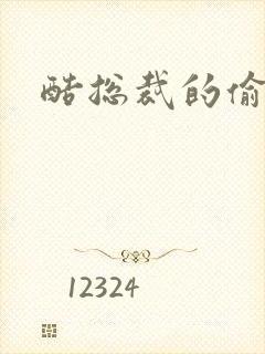 酷总裁的偷孕妻