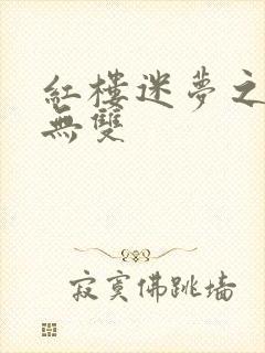 红楼迷梦之国士无双