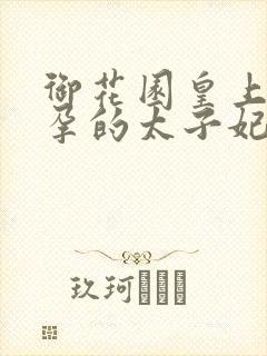 御花园皇上C有孕的太子妃