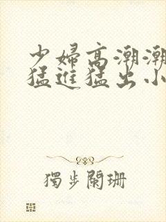 少妇高潮潮喷到猛进猛出小说