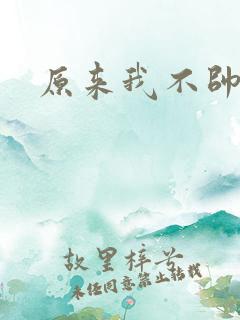 原来我不帅小说