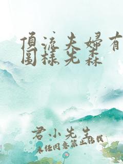 顶流夫妇有点甜图样先森