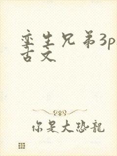 孪生兄弟3ph古文