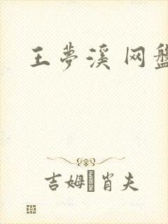 王梦溪 网盘