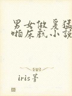 男女做爰猛烈啪啪床戏小说