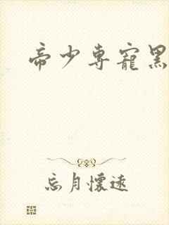 帝少专宠黑道妻