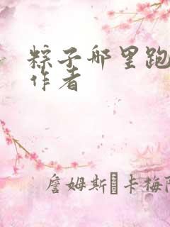 粽子哪里跑小说作者