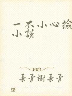 一不小心捡到爱小说