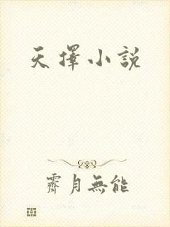 天择小说