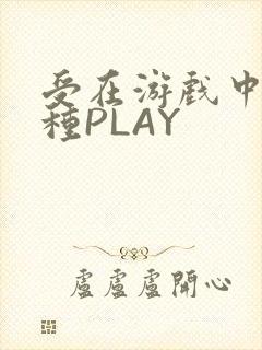 受在游戏中被各种PLAY