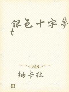 银色十字梦txt