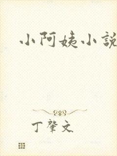 小阿姨小说