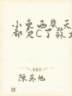 小东西几天没做都欠C了苏大深