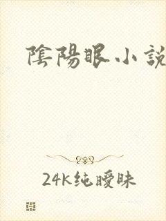 阴阳眼小说