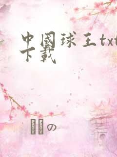 中国球王txt下载