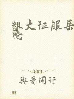 粗大征服岳女双飞