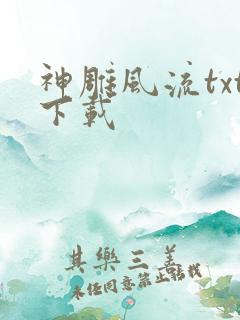 神雕风流txt下载