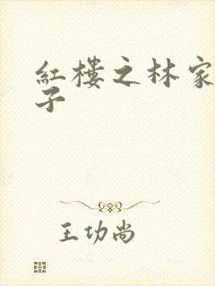 红楼之林家庶长子