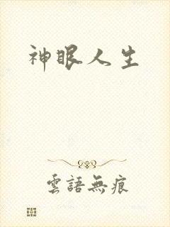 神眼人生