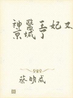 神医王妃又轰动京城了