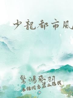 少龙都市风流行